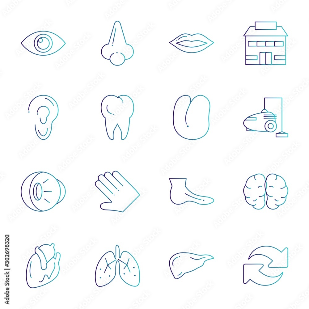 Set Of Universal 16 Icons Set Of Universal 16 Icons