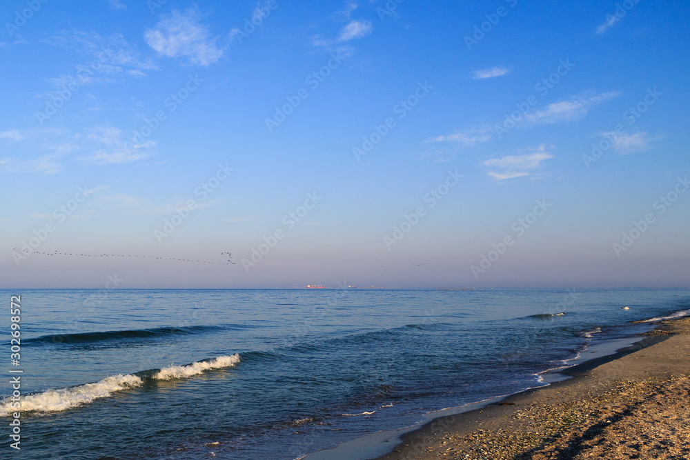 sea ​​coast and blue sky, beach, birds in the sky, ships on the horizon