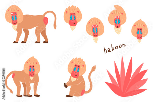 Set of baboons in a cartoon style. Children's pictures with animals. Cartoon illustration of a baboon vector icon on a white isolated background