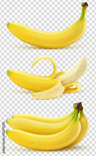 Bananes vectorielles 5 photo