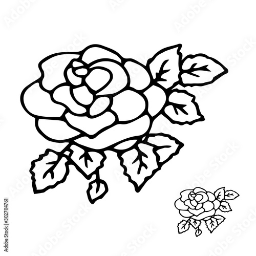 Beautiful summer flower. Rose on a white background. Color book. Fashion in a vector illustration