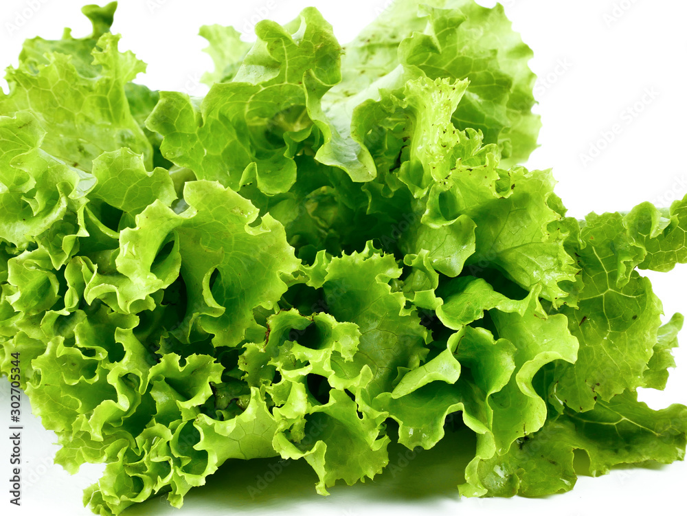Fresh lettuce isolated on a white background,element of food healthy nutrients and herb vegetable ingredient concept Fresh lettuce isolated on a white background,element of food healthy nutrients and herb vegetable ingredient concept
