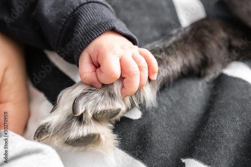 Baby hand stroking a dog's paw