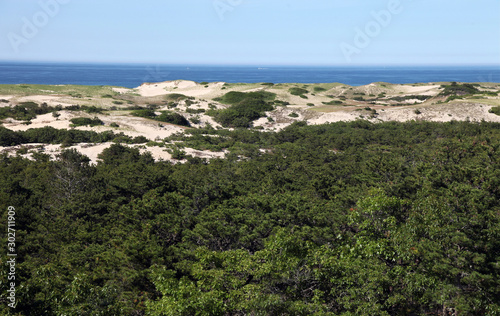 Dunes of the Cape Cod National Seashore