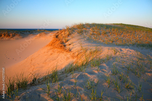 Beach Dune at Sunset