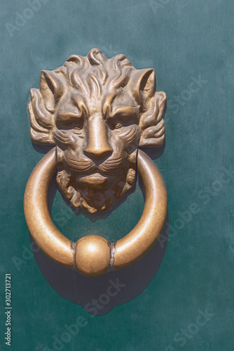 old metal door handle in the form of a lion's head with a ring in his mouth on an old wooden door