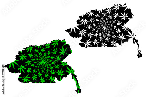 Guainia Department (Colombia, Republic of Colombia, Departments of Colombia) map is designed cannabis leaf green and black, Guainia map made of marijuana (marihuana,THC) foliage.... photo