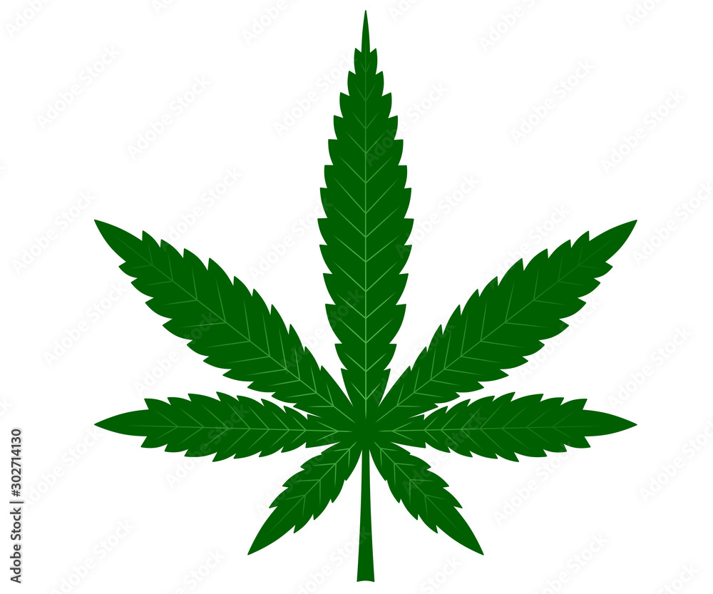 Drawn marijuana leaf on a white background Drawn marijuana leaf on a white background