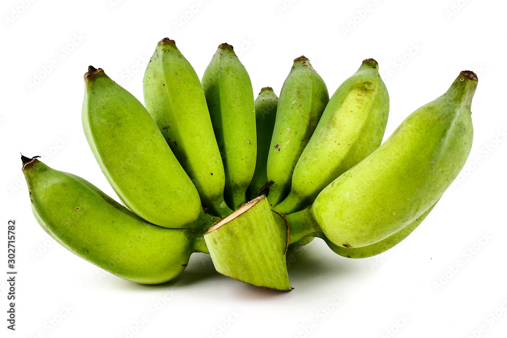 Bunch of organic raw green bananas. guineo, Musa acuminata isolated on white background. Tropical fruit Agriculture concept. Bunch of organic raw green bananas. guineo, Musa acuminata isolated on white background. Tropical fruit Agriculture concept.