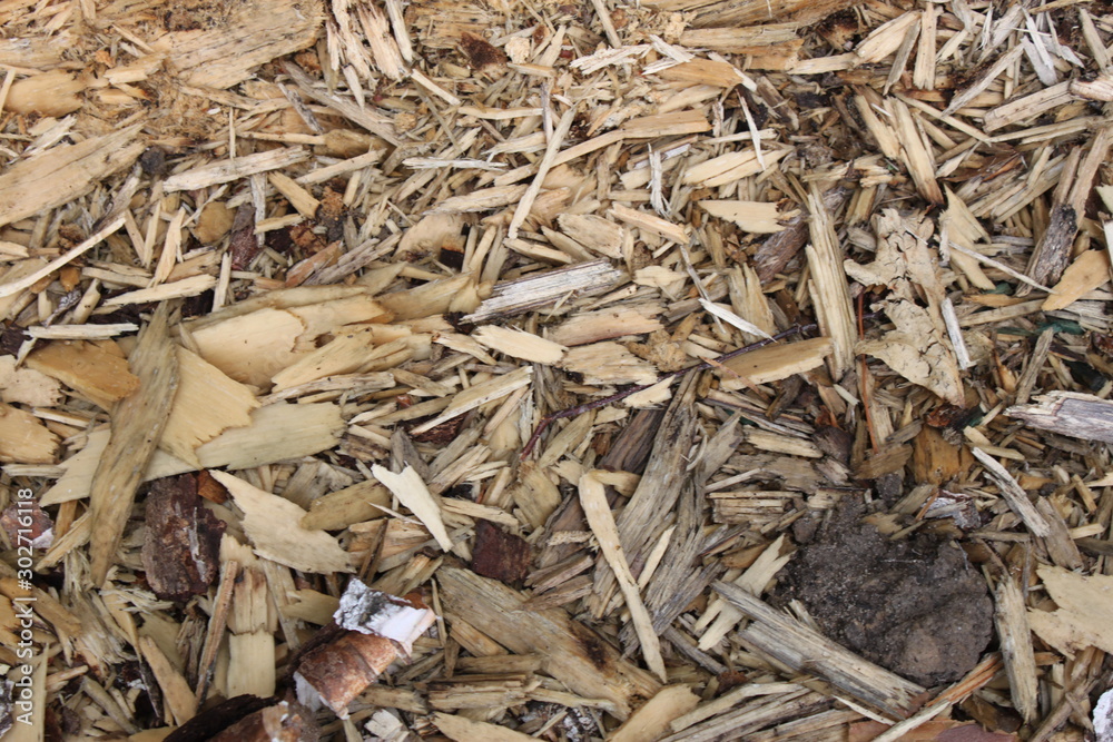 birch sawdust background, texture birch sawdust background, texture