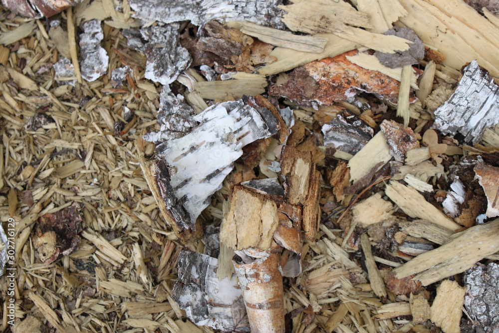 birch sawdust bark background, texture