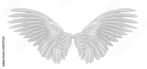 angel wings of bird on white background