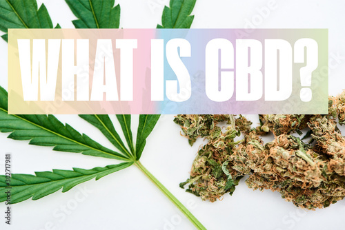 top view of green cannabis leaf and marijuana buds on white background with what is cbd question
