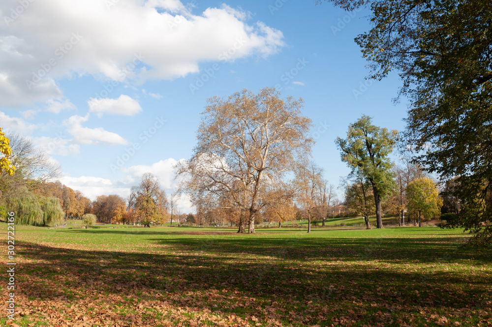 Naklejka premium Parque con tonos de otoño