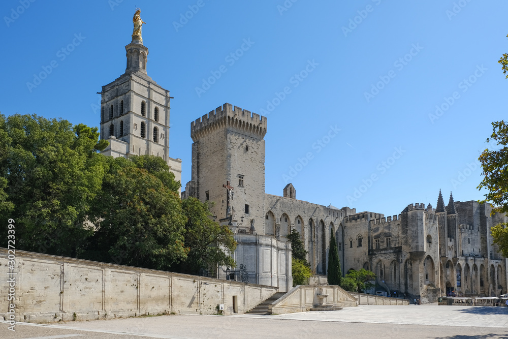 Obraz premium Palais du pape Avignon France