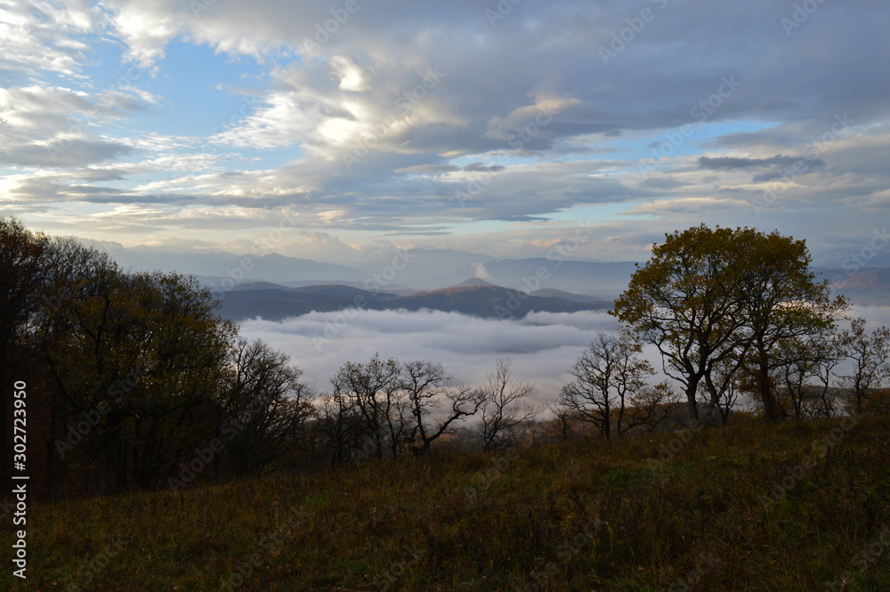 Obraz premium landscape with trees and blue sky