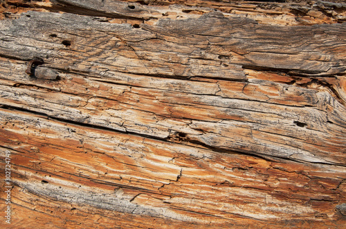 Wooden texture. vintage weathered wood background for design, eaten by worms
