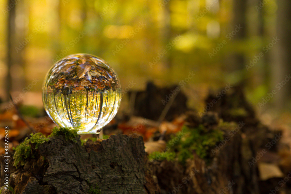 Herbst, Wald, Naherholung, Natur im Wandel Herbst, Wald, Naherholung, Natur im Wandel