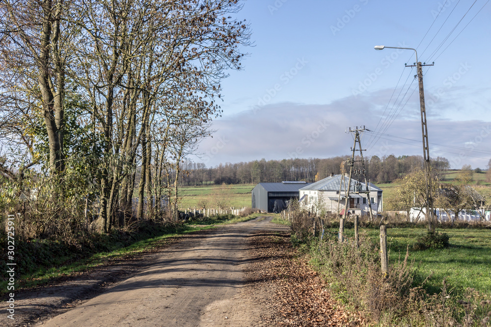 Late Autumn. The village road leads to a residential building and barns. Industrial dairy farming. Podlasie, Poland.