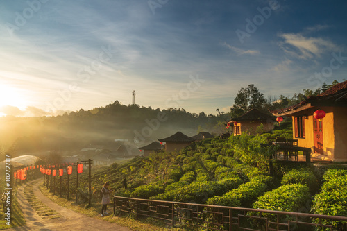 Sunrise in the morning at Lee Wine Resort or Lee Wine Clay houses among the tea plant on the hill slope at Ban Rak Thai , Mae Hong Son province, Thailand.