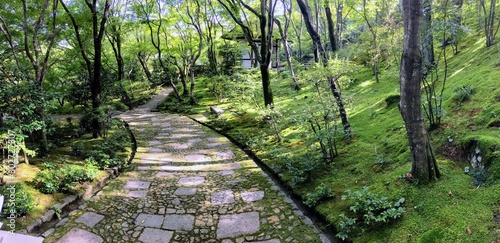 Japanese garden (wide path)