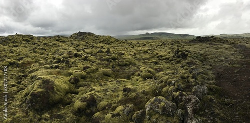 Unreal Icelandic landscape with moss