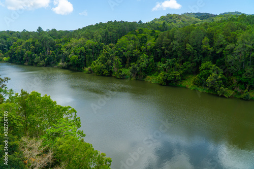 The Australian rainforest in the north of Australia near Cairns with green mountains and blue skies are white clouds