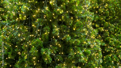 The lights on the Christmas tree decoration background   