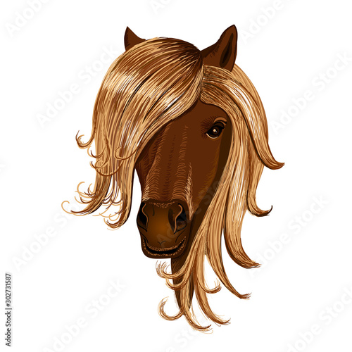 Head horse isolated on white background. Wall stickers