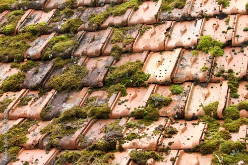 toiture remplie de mousse et lichens photo