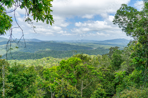 Fototapeta Naklejka Na Ścianę i Meble -  The Australian rainforest in the north of Australia near Cairns with green mountains and blue skies are white clouds