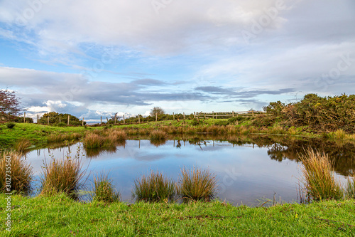 A dew pond on Ditchling Beacon in late autumn