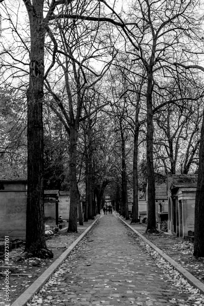 Fototapeta premium Cimetière du Père Lachaise, Paris