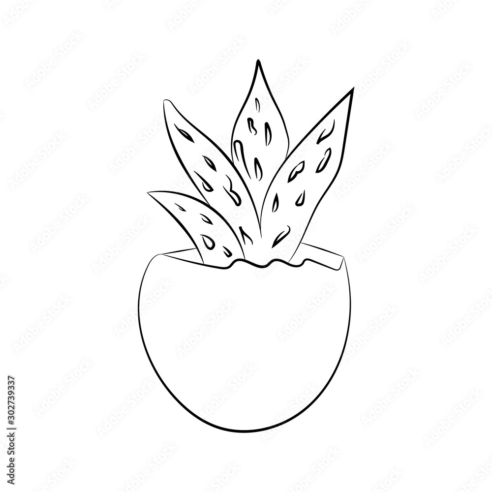 Vector cactus in a small pot. Outline illustration. Vector cactus in a small pot. Outline illustration.