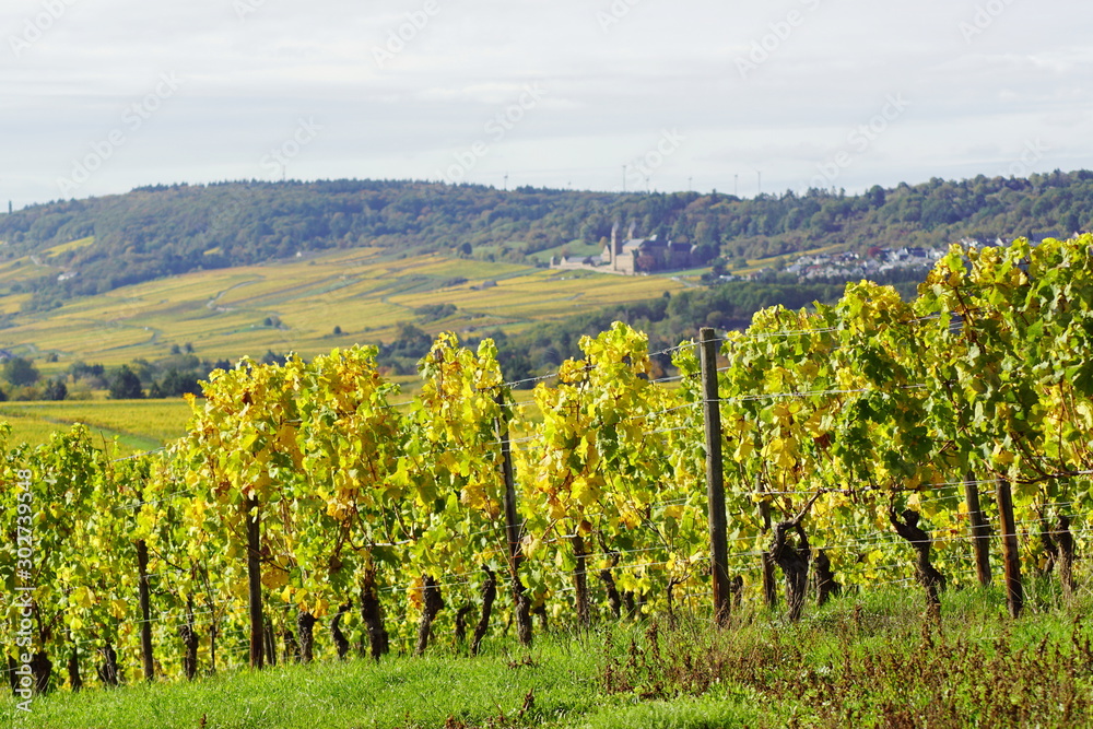 Ein Blick von der Ferne auf die Abtei St. Hildegard mit Windrädern im Hintergrund und Feldern und Reben im Herbst in Rüdesheim im Rheingau am Rhein in Hessen Deutschland