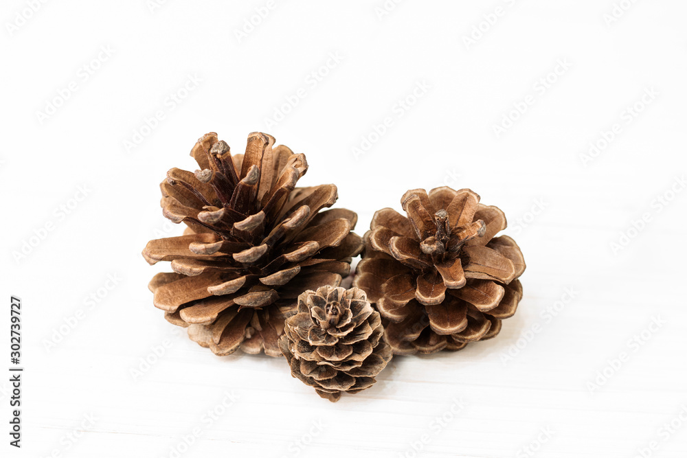 Fir brown cones isolated on a white background. Close up. Copy space Fir brown cones isolated on a white background. Close up. Copy space