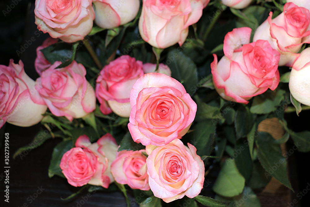 Beautiful and Fresh Bunch of Pink Rose Flower with Shades Beautiful and Fresh Bunch of Pink Rose Flower with Shades