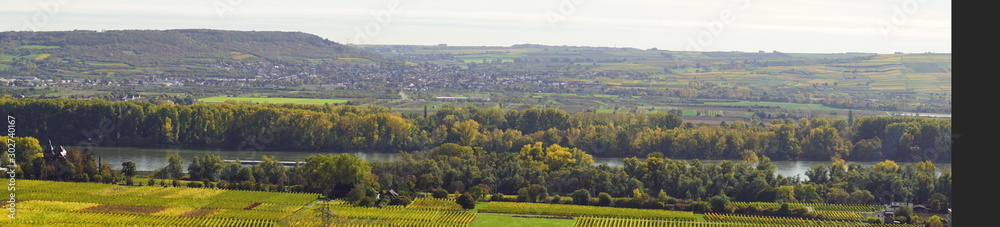 Rhein mit Feldern und Reben im Herbst in Rüdesheim im Rheingau am Rhein in Hessen Deutschland