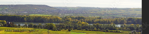 Rhein mit Feldern und Reben im Herbst in Rüdesheim im Rheingau am Rhein in Hessen Deutschland