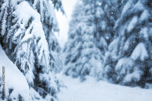Winterwald im tiefen Schnee am Rennsteig im Thüringer Wald © USeePhoto