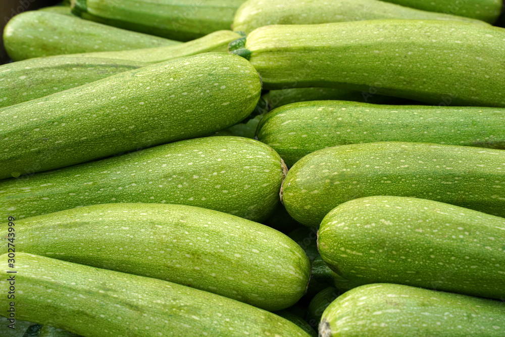 fresh zucchini for sale at farmers market fresh zucchini for sale at farmers market