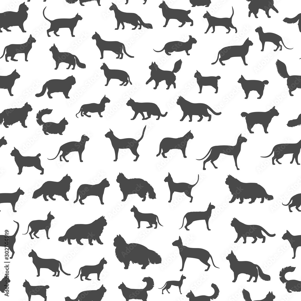 Fototapeta premium Kot rasy ikona zestaw płaski wzór. Kolekcja postaci z kreskówek sylwetki kotów