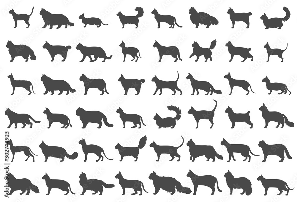 Cat breeds icon set flat style isolated on white. Cartoon silhouettes cats characters collection Cat breeds icon set flat style isolated on white. Cartoon silhouettes cats characters collection