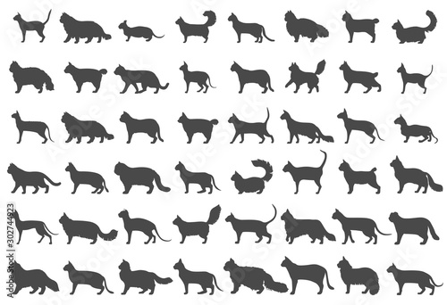 Cat breeds icon set flat style isolated on white. Cartoon silhouettes cats characters collection