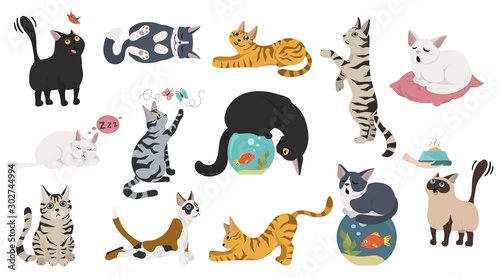 Cartoon cat characters collection. Different cat`s poses, yoga and emotions set. Flat color simple style design.