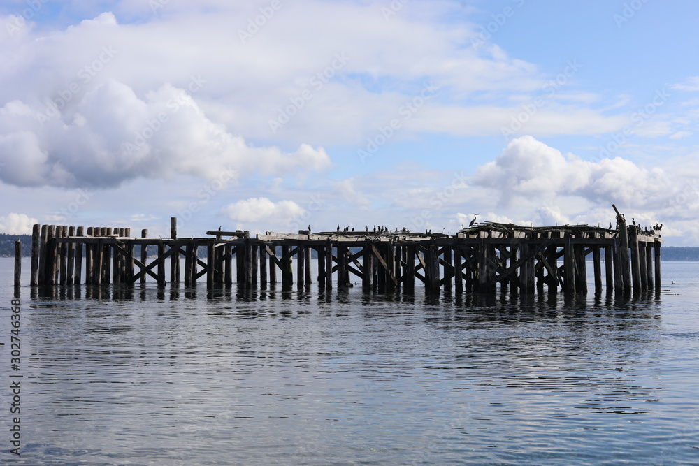 Fototapeta premium Whidbey Island