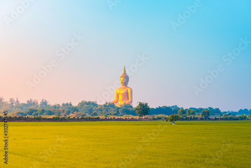 Scenery of Rice field and Big Golden Buddha statue at Wat Muang Temple, angthong province, Thailand.