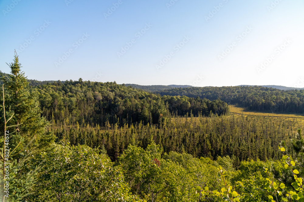 Green trees and blue sky landscape as seen from Algonquin Provincial Park visitor center lookout