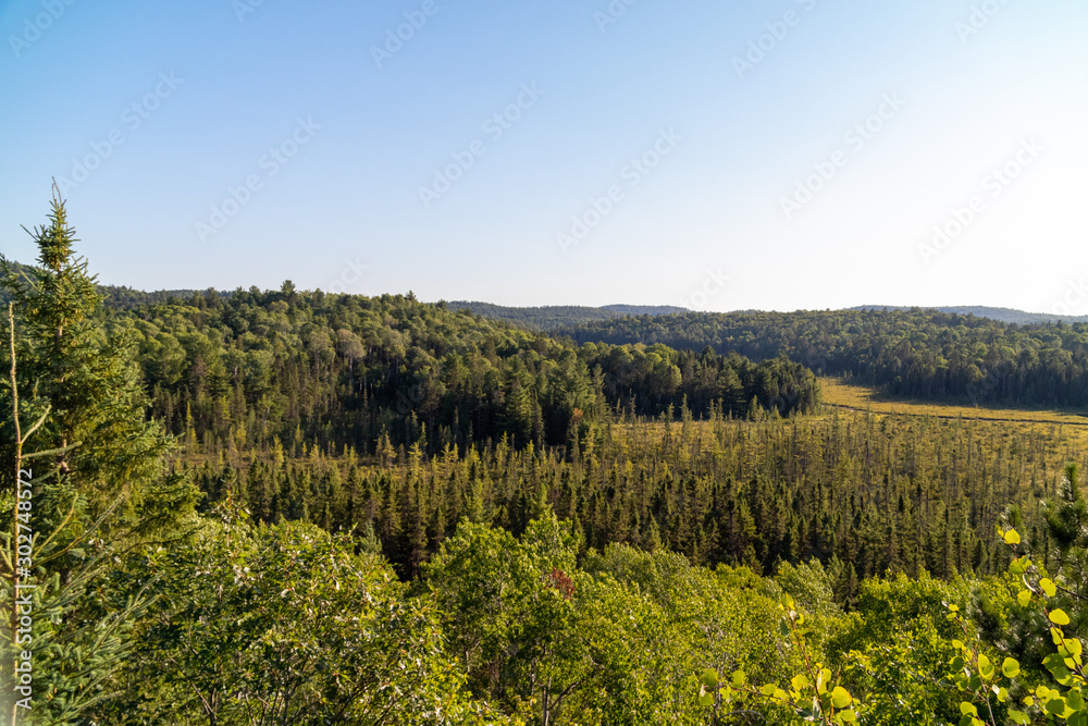Green trees and blue sky landscape as seen from Algonquin Provincial Park visitor center lookout Green trees and blue sky landscape as seen from Algonquin Provincial Park visitor center lookout