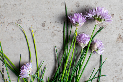 Chive blossoms on stone surface